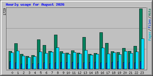Hourly usage for August 2026